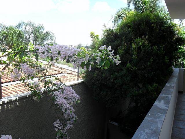 Casa para alugar com 4 dormitórios em Jardim paraíso, São carlos cod:2881