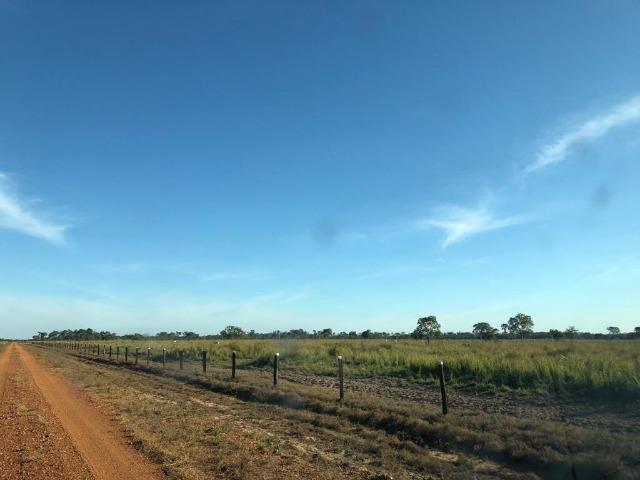 Fazenda Boa de Terra em Cocalinho - MT - Foto 2