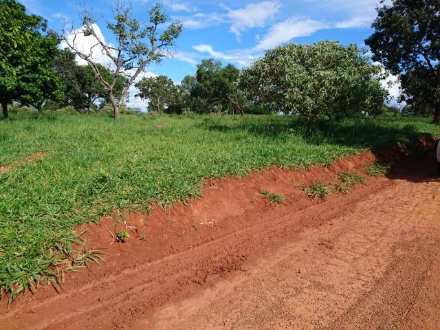 Fazenda 70 Alqueires em Cristianópolis-GO (Lavoura e Gado) - Foto 18