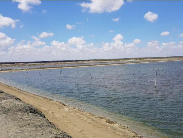Vendo Fazenda de Camarão em Mossoró ? RN - Foto 14