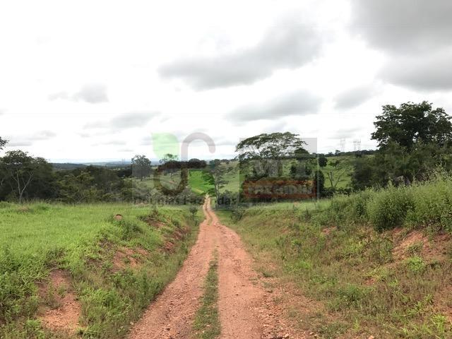 220 Alq. (Plana + Asfalto + Rio). 70 km de Goiânia - Foto 9