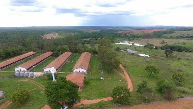 Fazenda 70 Alqueires em Cristianópolis-GO (Lavoura e Gado) - Foto 9