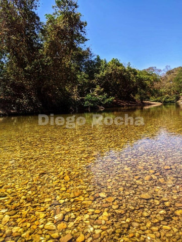 Lotes a partir de 18.500,00 - Foto 14