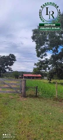 Fazenda 38 Alqueires Vale do Araguaia - Foto 3