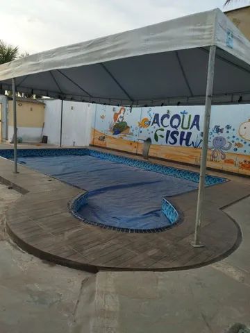 Azulejista  - Foto 5