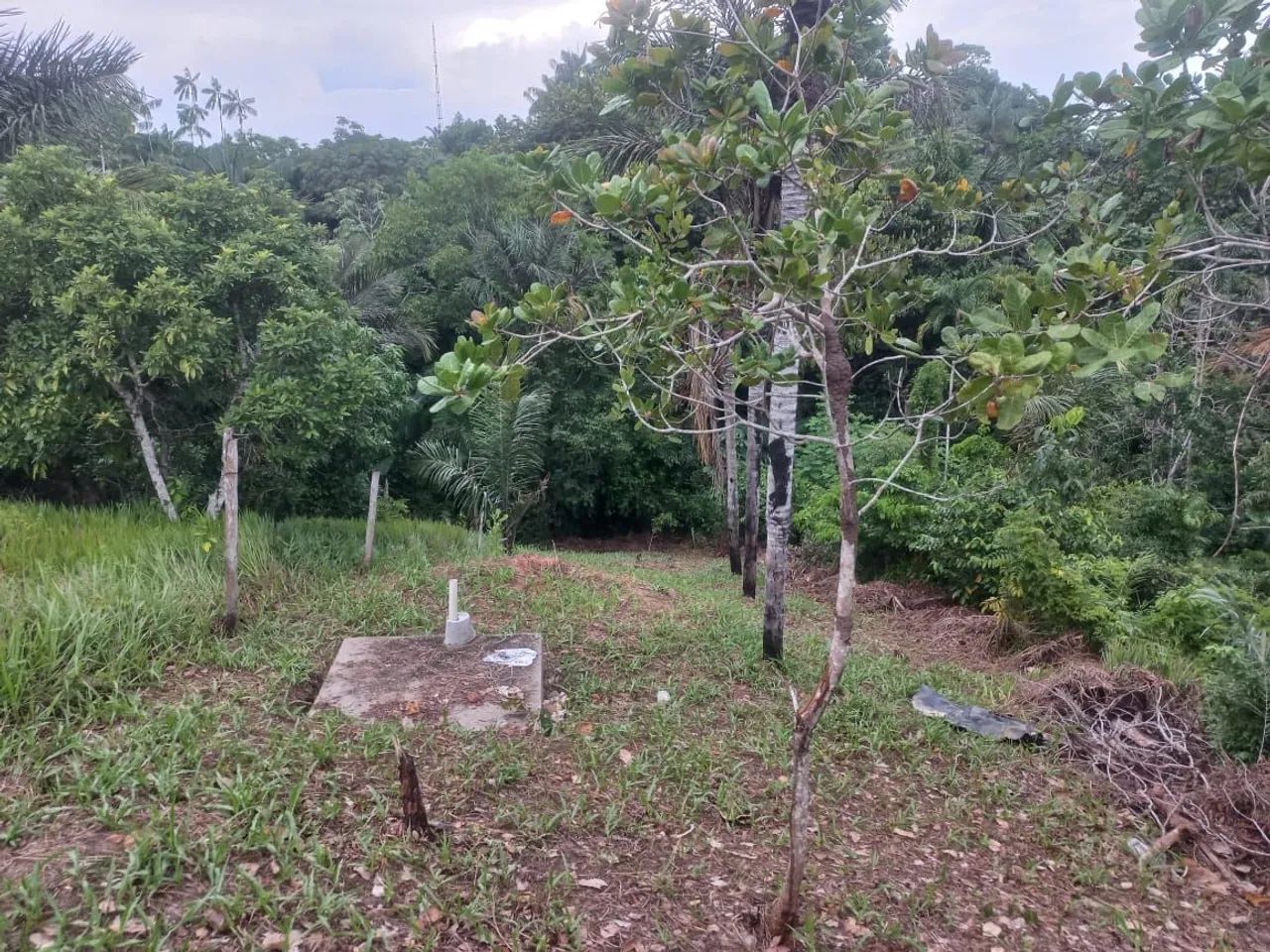 foto - Manaus - Cidade de Deus