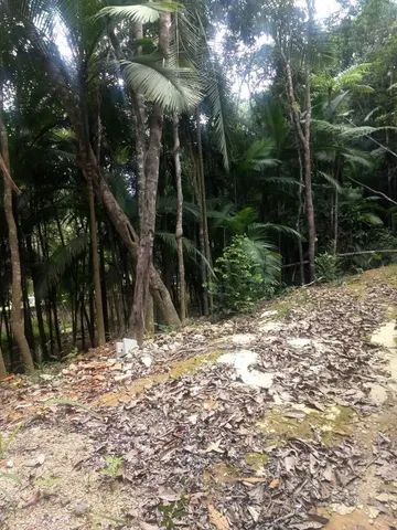 Terreno com cachoeira medindo 2 hectares  - Foto 3