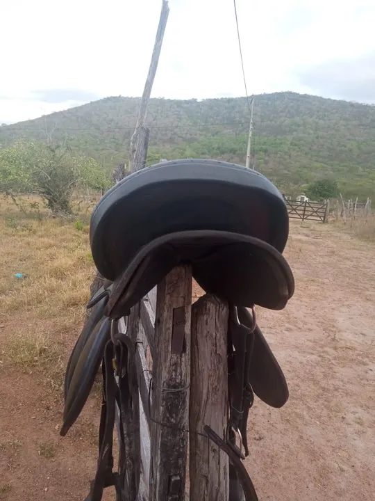 Sela muito bom  - Foto 4