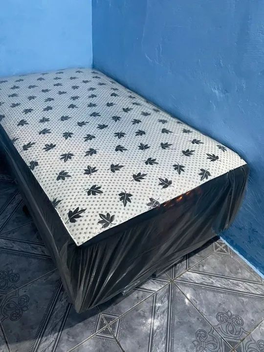 Solteirão  - Foto 4