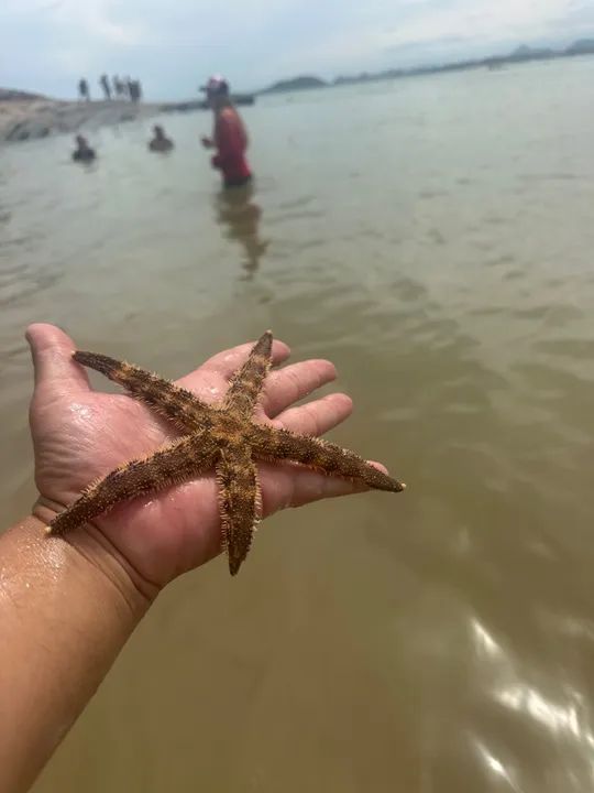 Casa Setiba Guarapari - Foto 7
