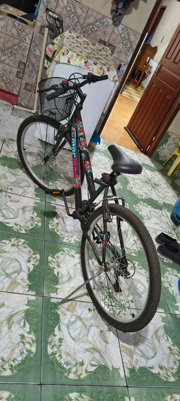 Bicicleta