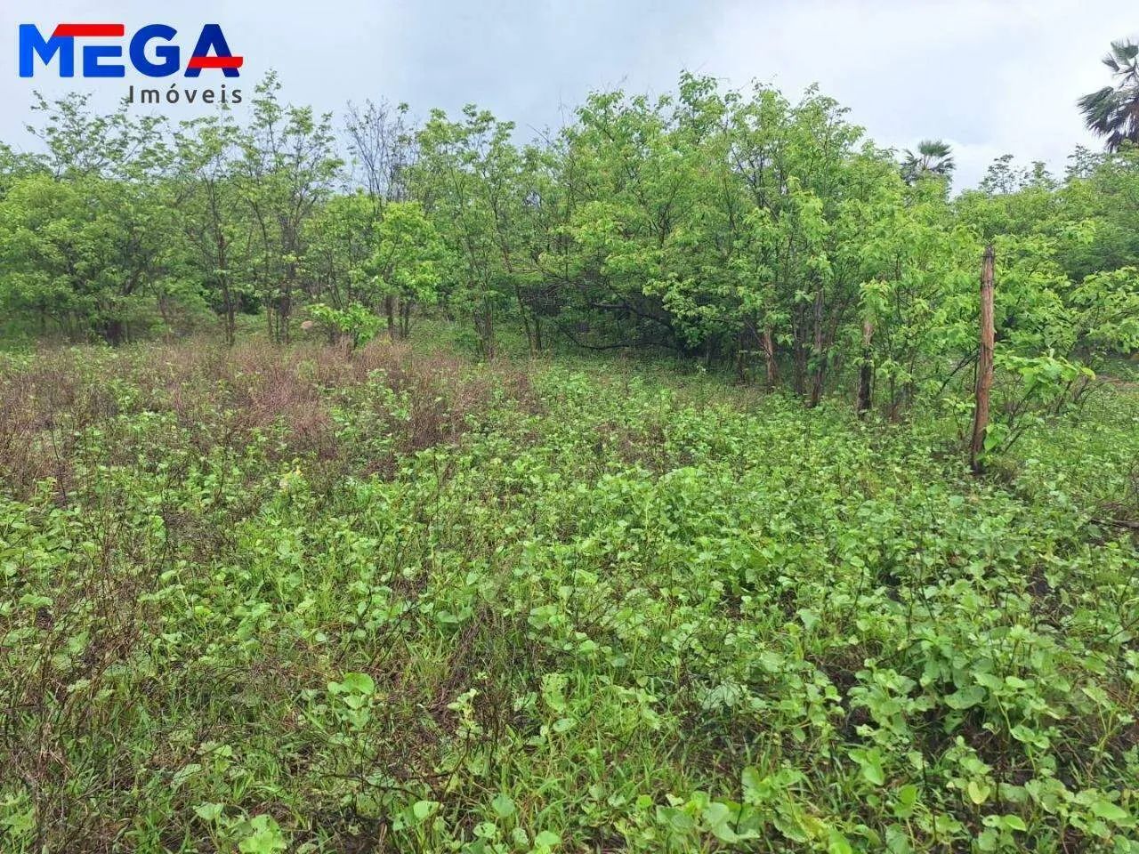 Terreno à venda, 1980 m² por R$ 100.000 - Toco - Caucaia/CE - Foto 4