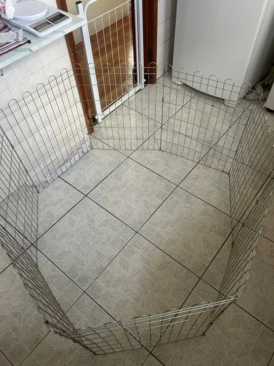 Cerca para cães - 8 painéis, acompanha brinde