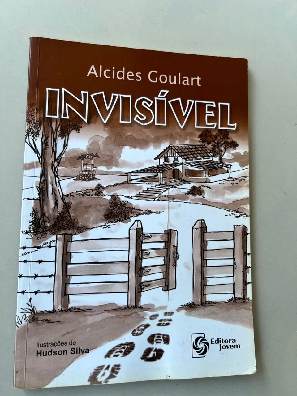Livros Infantis Diversos Usados  
