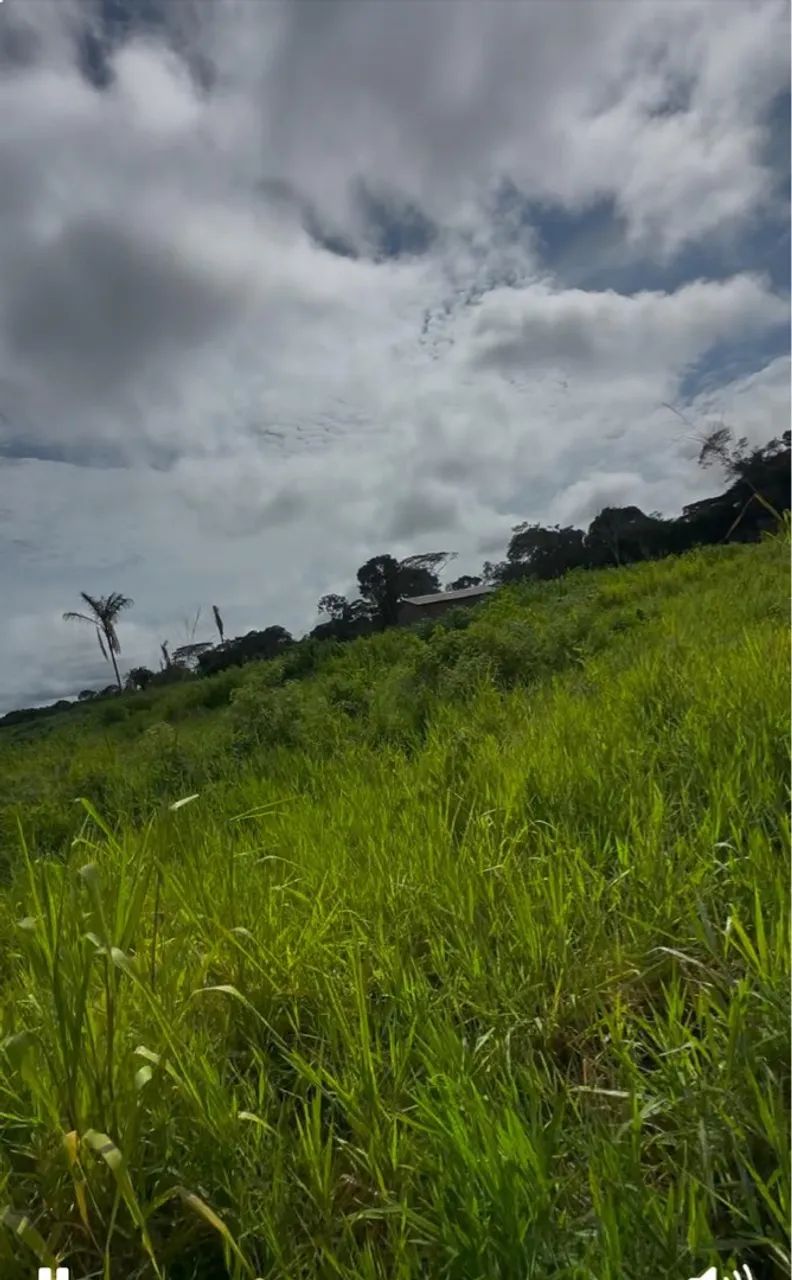 Vende-se esta propriedade  - Foto 2