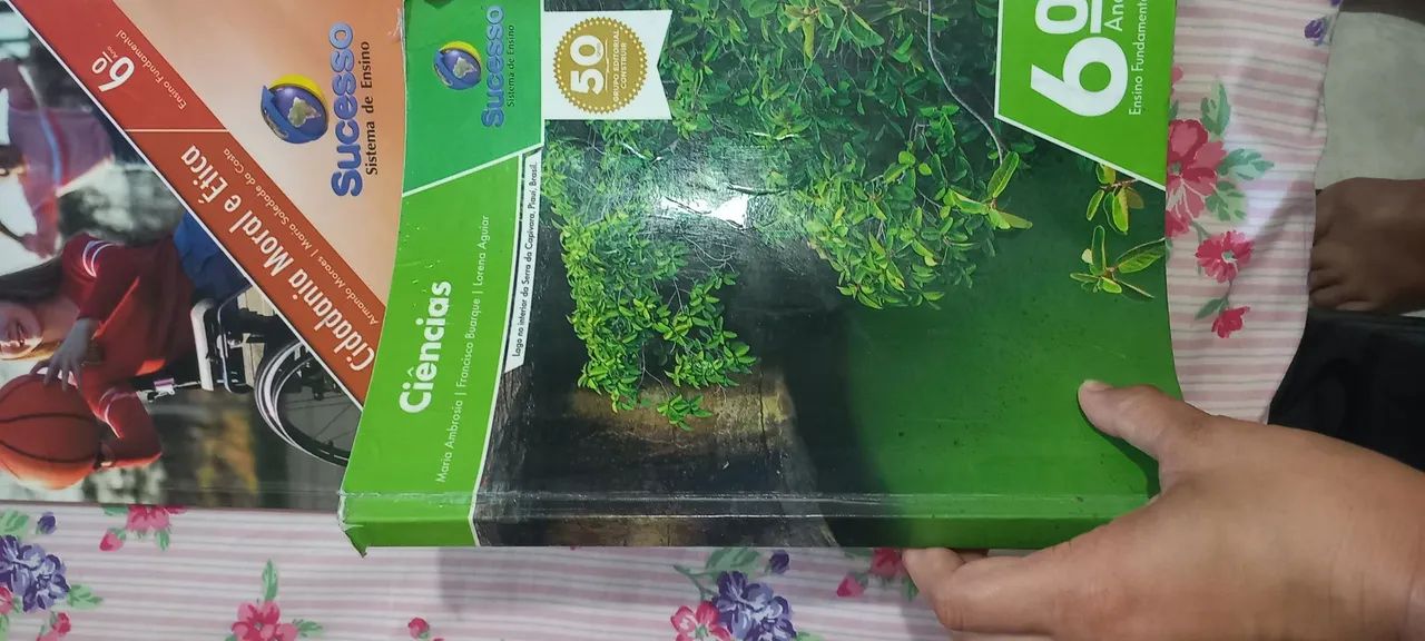 Livros 6° ano editora sucesso - Foto 5