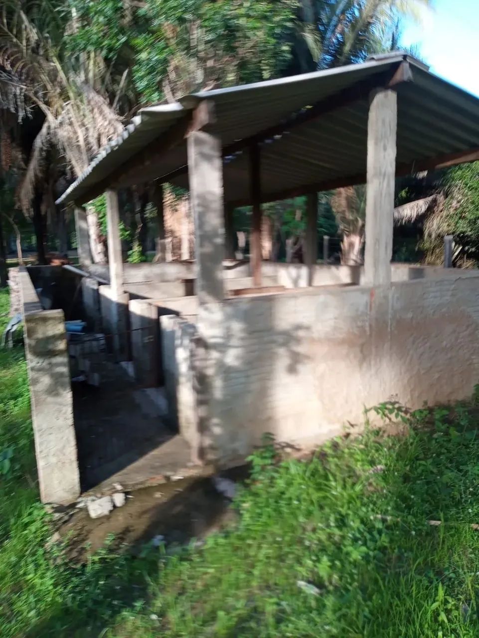 SÍTIO À VENDA  VÁRZEA DE DENTRO (PINTADINHO)  COCOS/BA - Foto 2