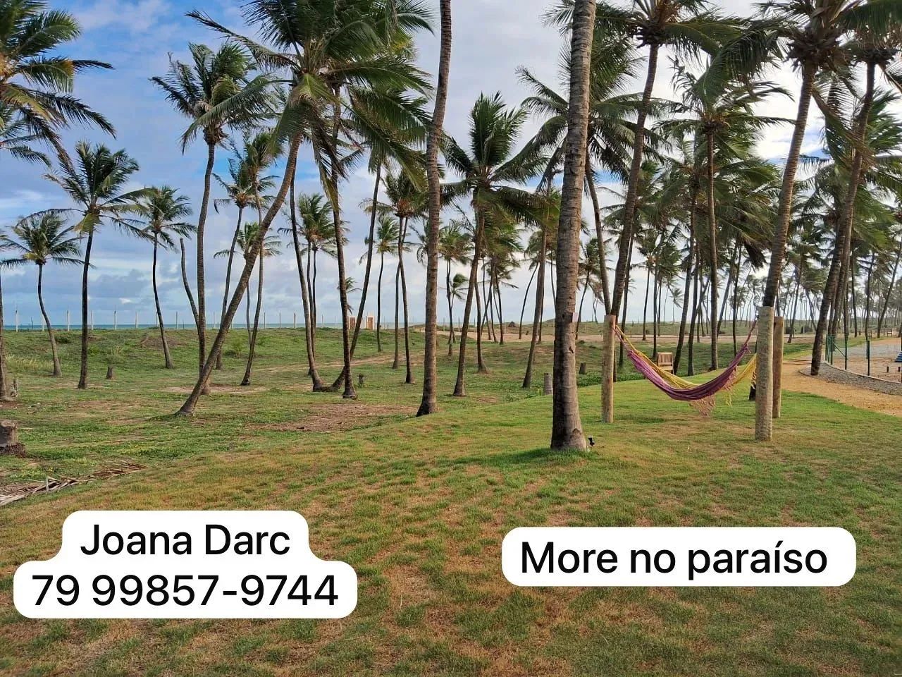 VILLAREDO BARRA