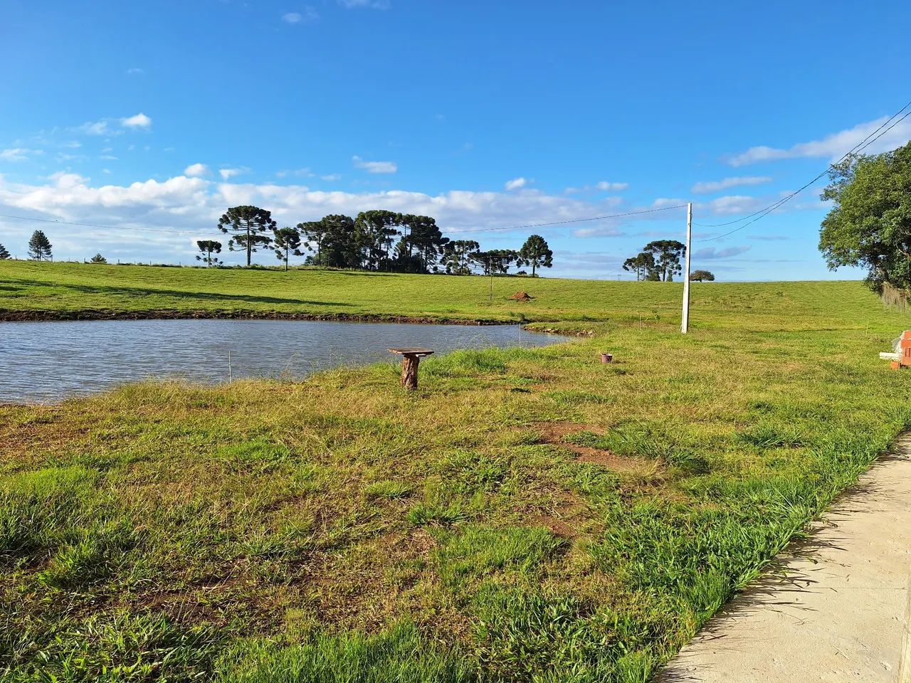 Linda área de campo na serra gaúcha. - Foto 3