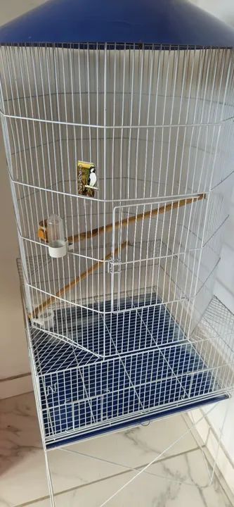 Gaiola Grande para Pássaros - Com  Telhado Azul