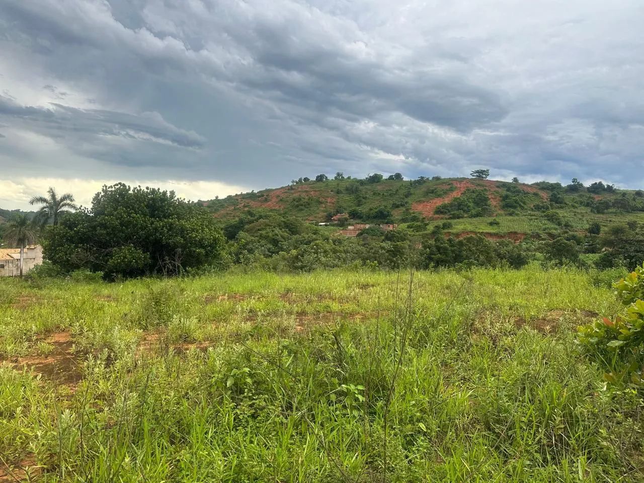 Lote 1.000 m² brauninha