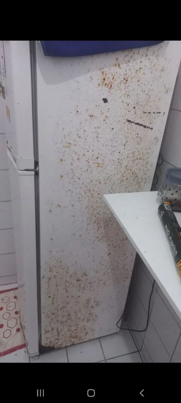 Geladeira cônsul fross free - Foto 4