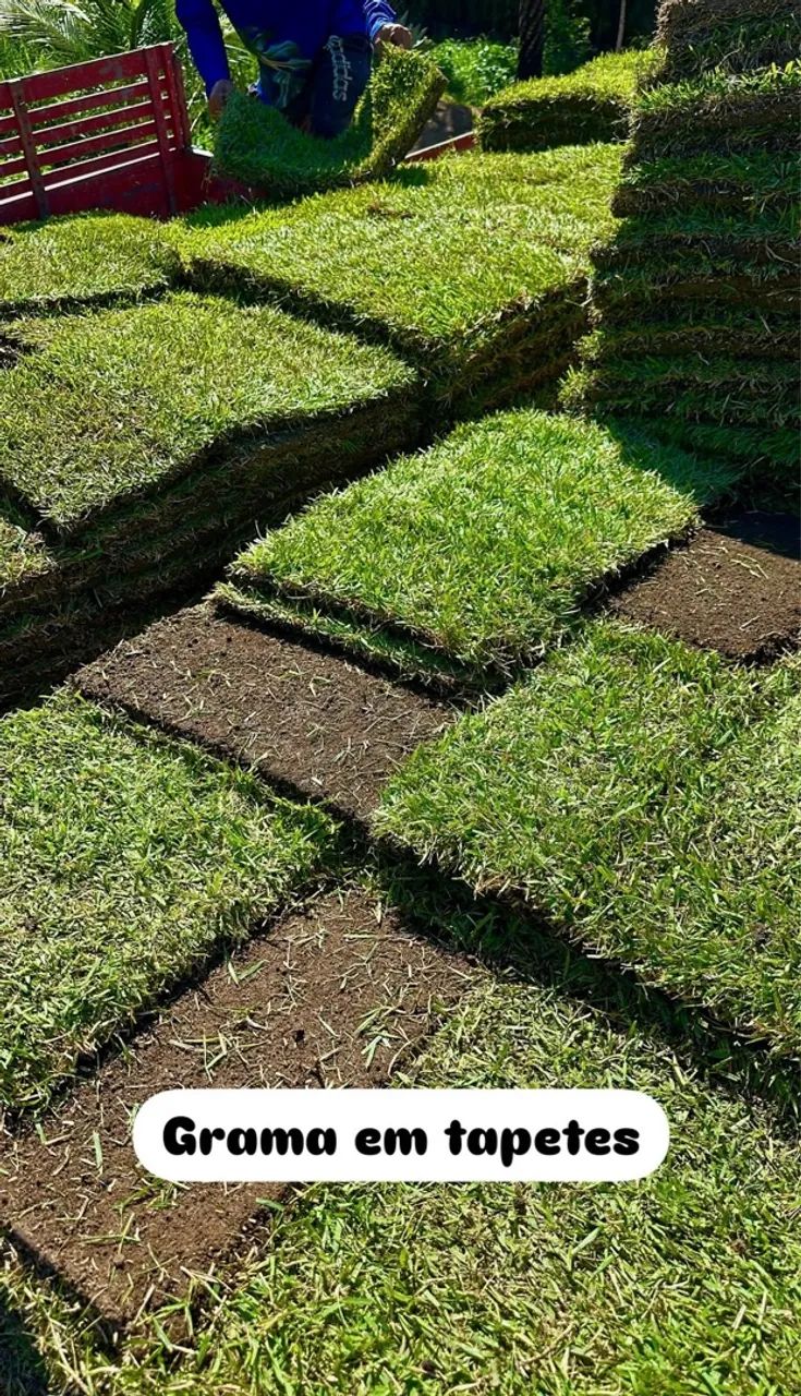Gramado em placas para jardim e paisagismo - Foto 3