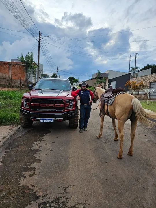 Domador/Treinador/Cavalos - Foto 6