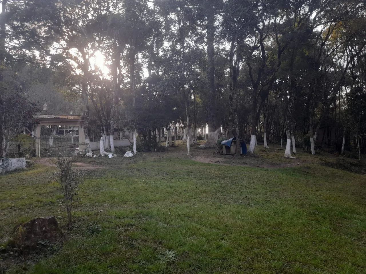 Chácara em Mandirituba  - Foto 2