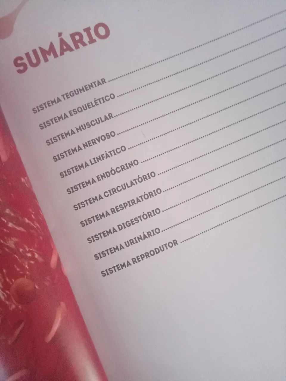 Livro anatomia do corpo humano - Foto 4