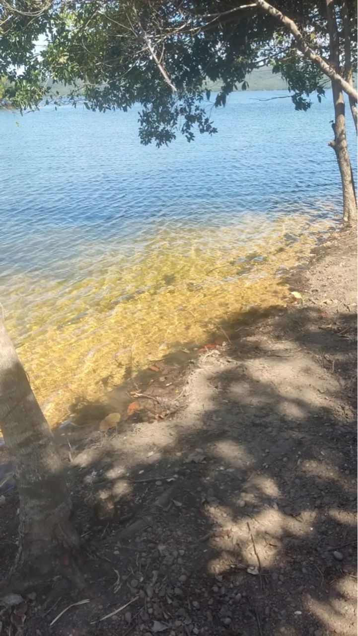 Vendo chácaras na beira do lago  - Foto 5