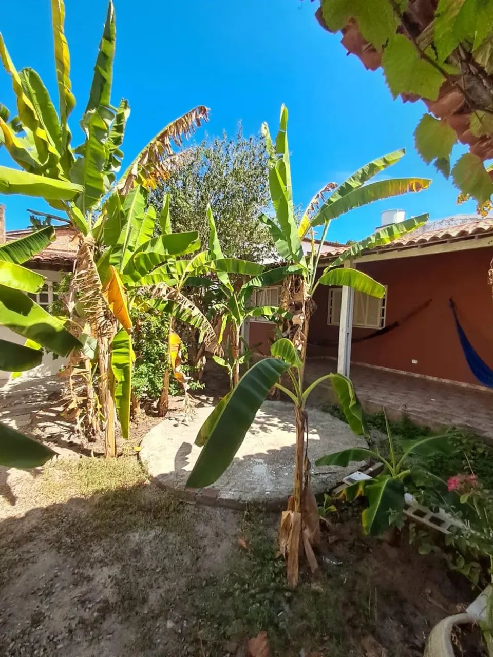 Casa com 4 quartos mobiliada na Praia do Frances - Foto 4