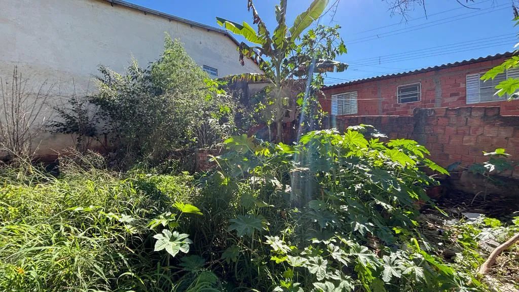 Terreno à venda em Sumaré, Parque Florely (Nova Veneza) - Foto 4