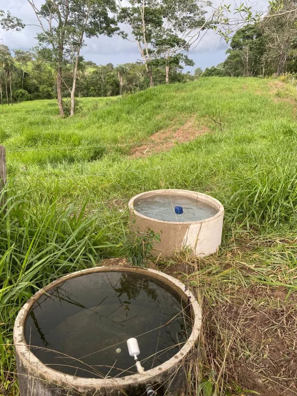 3 alq. Silvânia terra formada só R$ 850 mil - Foto 2