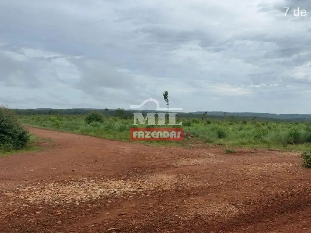 Fazenda 745 alqueires (3.607 hectares) Goiatins - Go - Foto 3