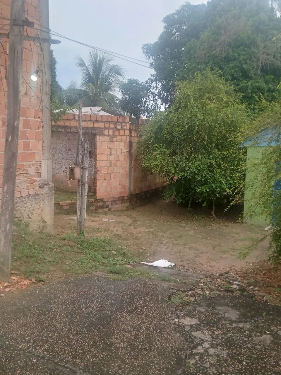 Foto - Manacapuru - Liberdade