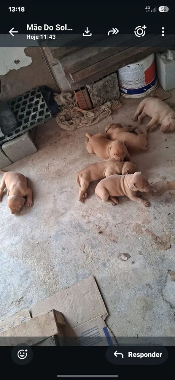 Pit monster 