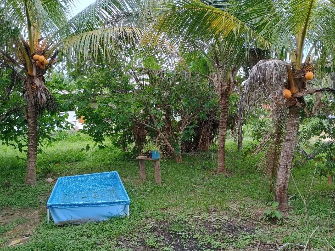 Vendo uma casa no bairro Amapá. - Foto 5