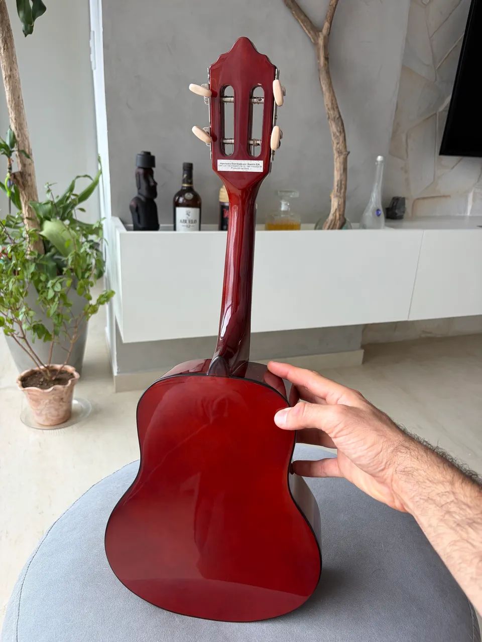 Cavaquinho Giannini Start CS-14N + Capa + Palhetas - Foto 2
