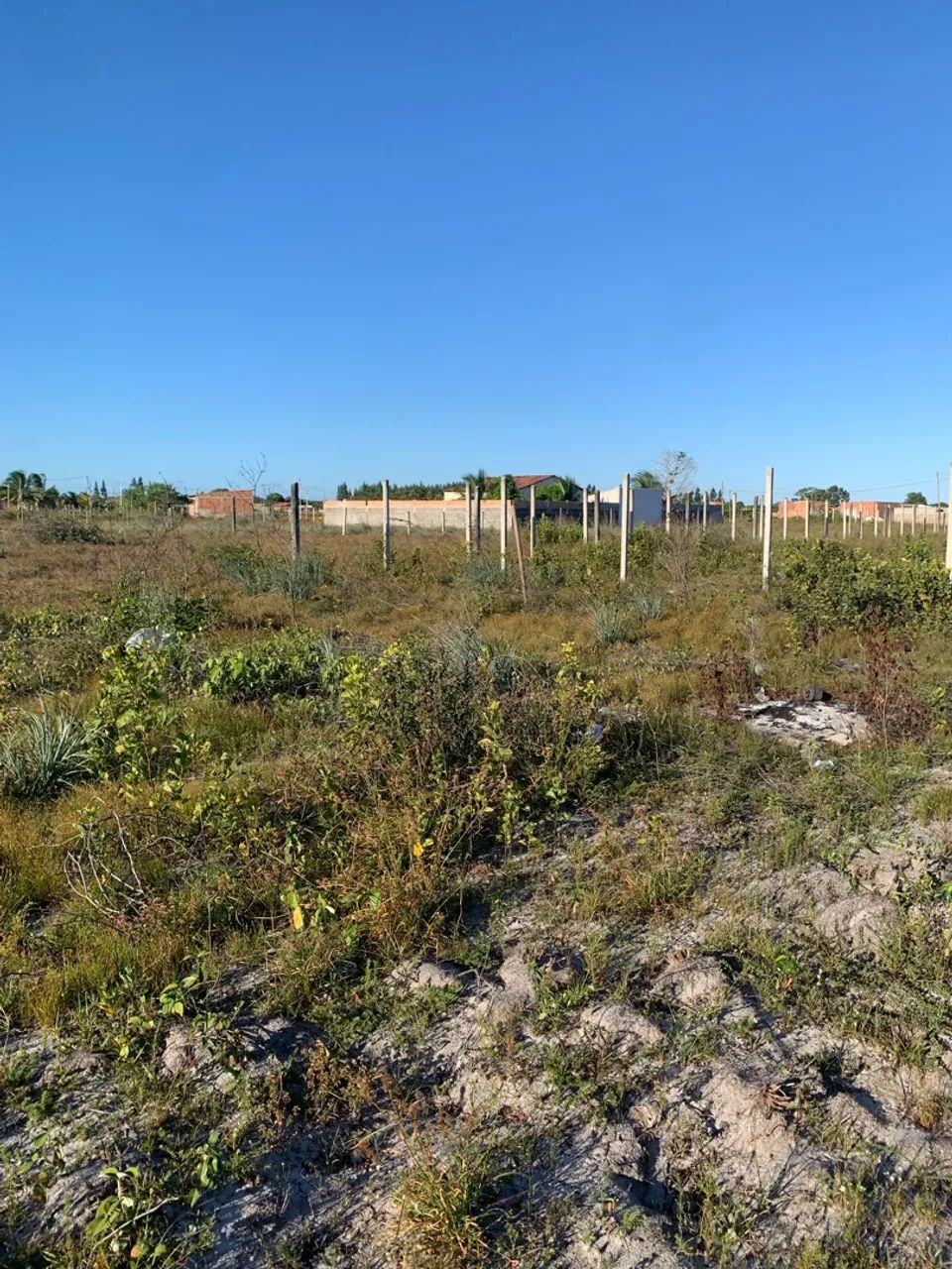 Vendo Terreno 15x40 - Foto 5