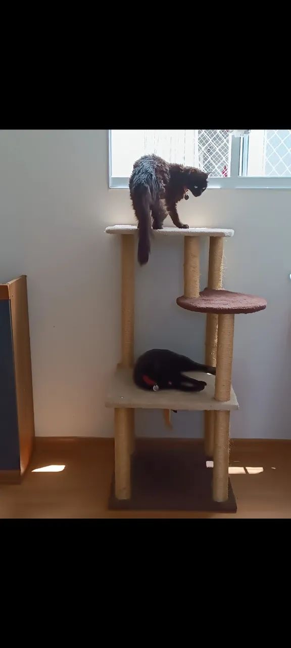 Arranhador Torre Brinquedo para Gatos (negociável) - Foto 4