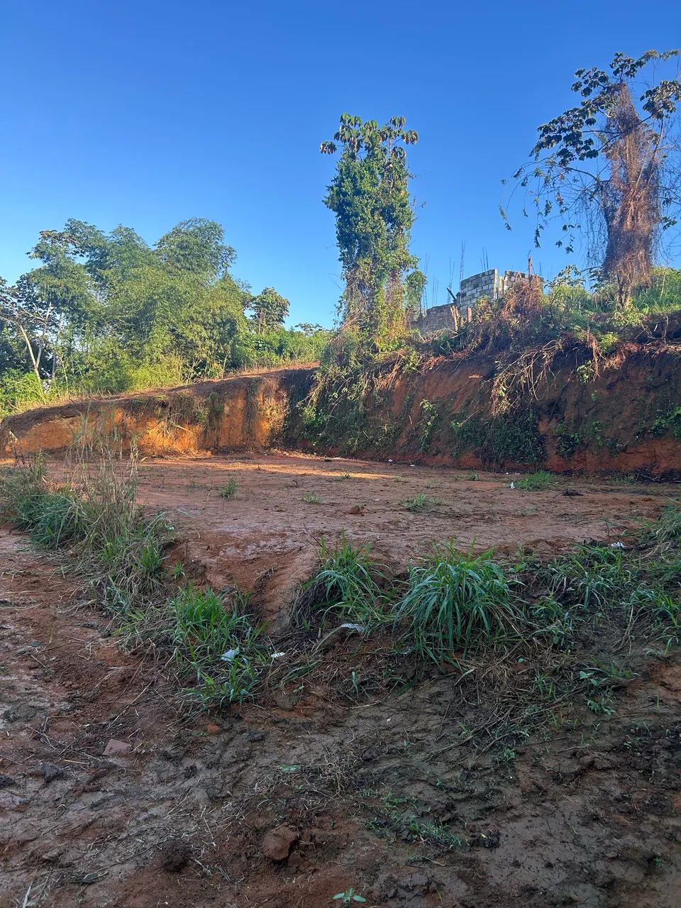 Terreno em Tranquedo Neves - Foto 3