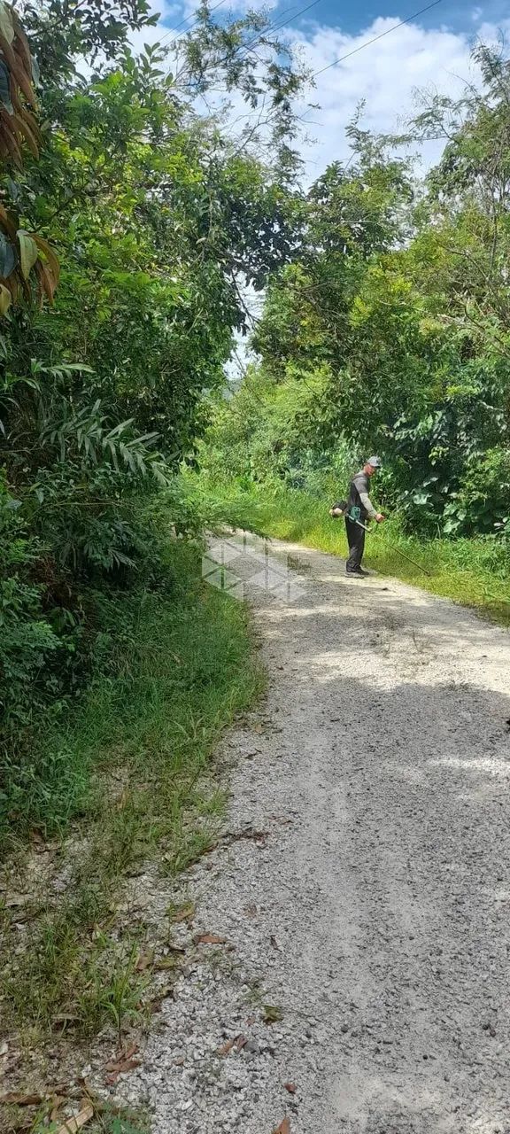 Sítio no bairro Fazendinha, em Biguaçu - SC - Foto 3