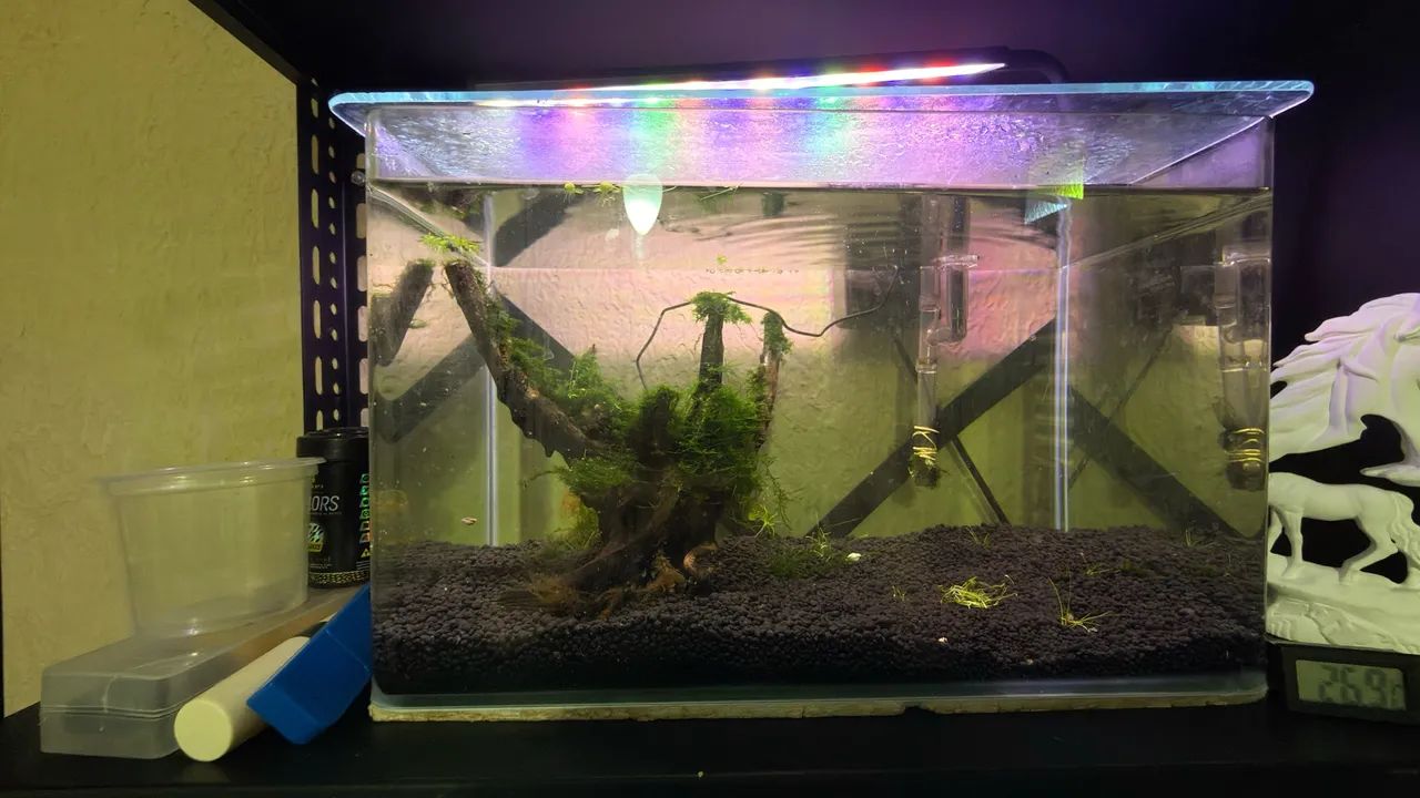 Aquario ocean tech  - Foto 4