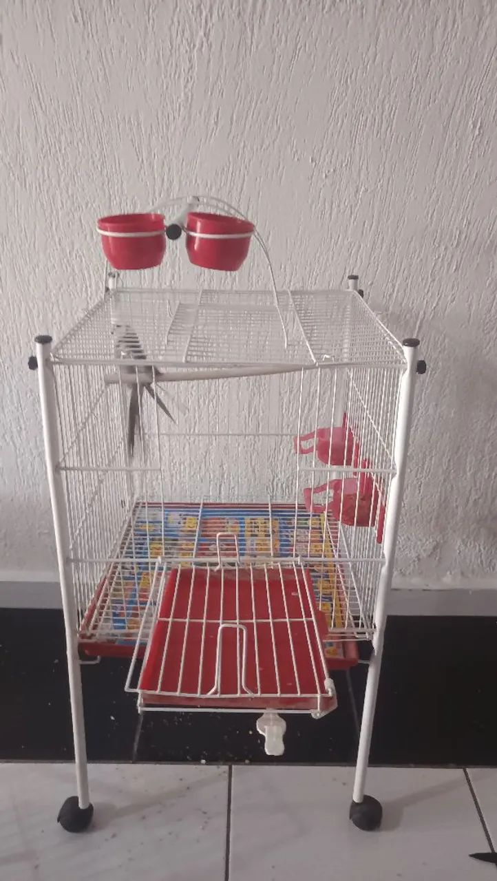 Gaiola Bragança de chão para calopsita