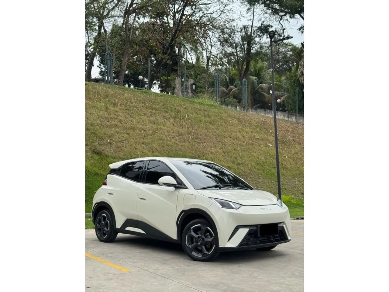 BYD Dolphin EV (Elétrico) 2024 - Foto 4