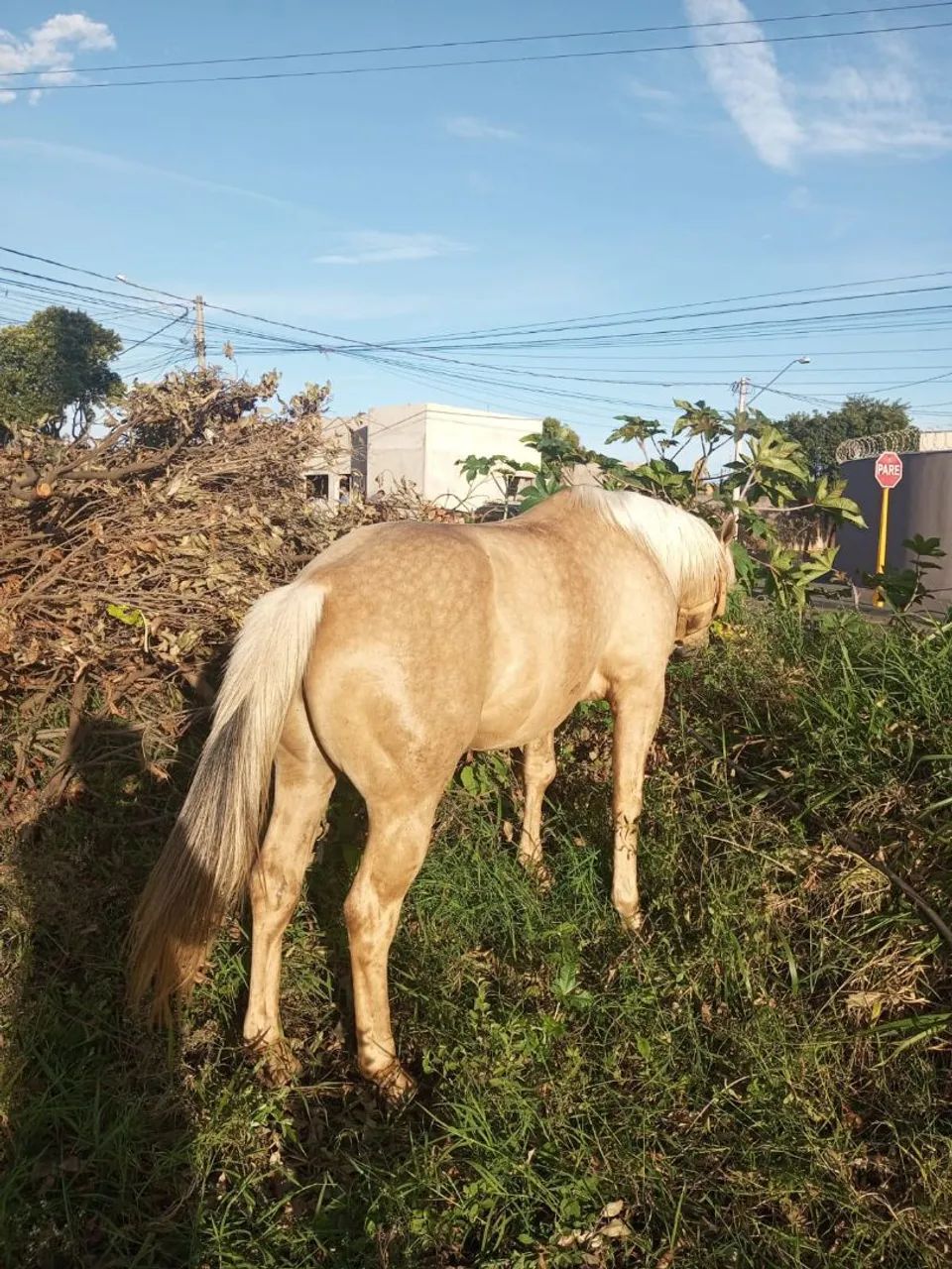 Valor 11.000 - Foto 2