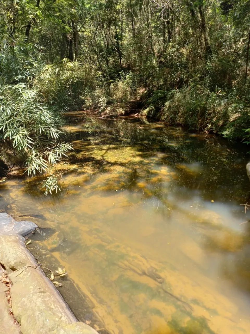 Foto - Carapicuíba - Jardim Angélica