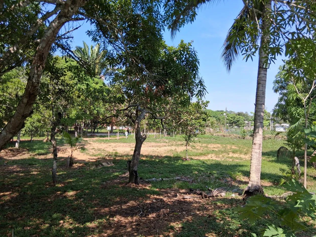 Linda chácara na viçosa  - Foto 2