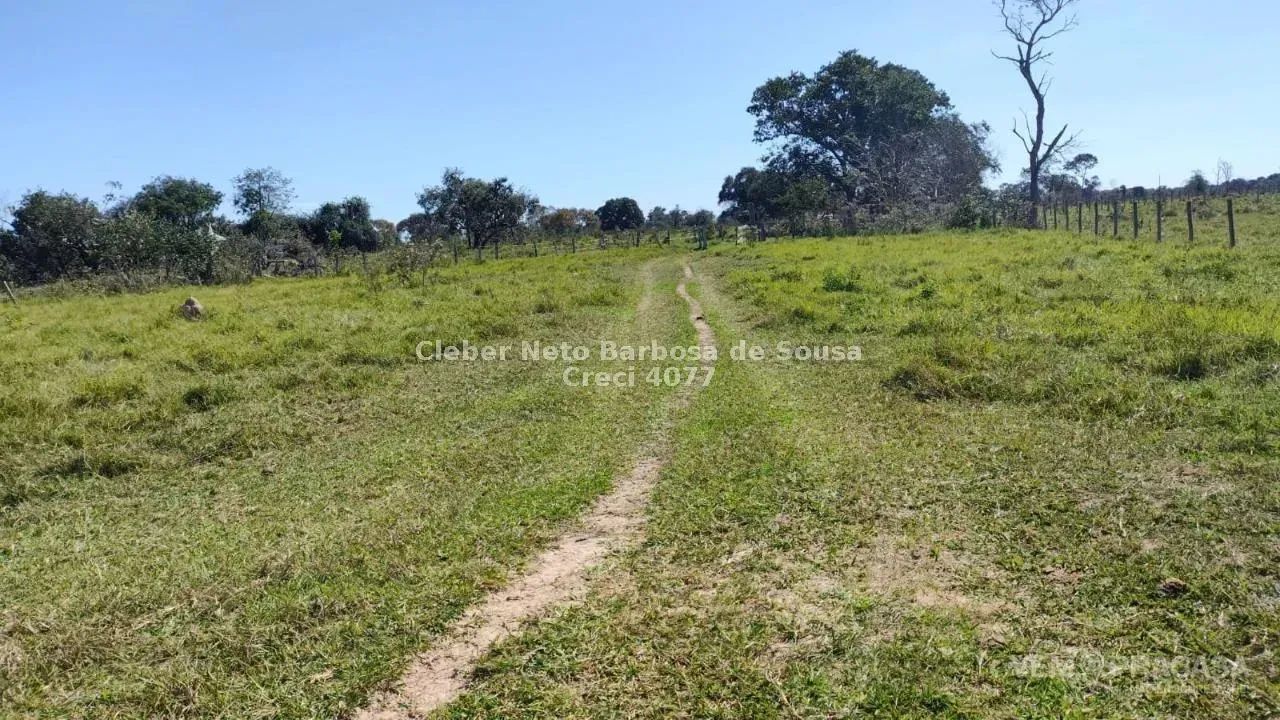 VENDO CHÁCARA EM ROCHEDO COM 25,5 HECTARES - Foto 5